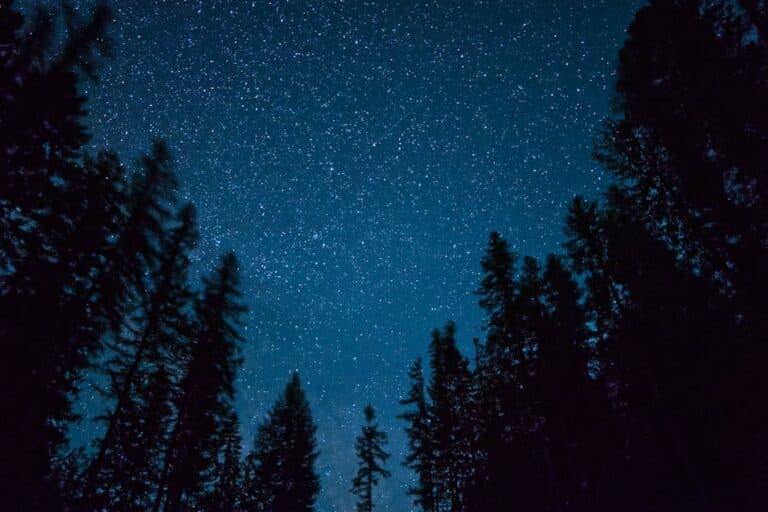 top stargazing apps android